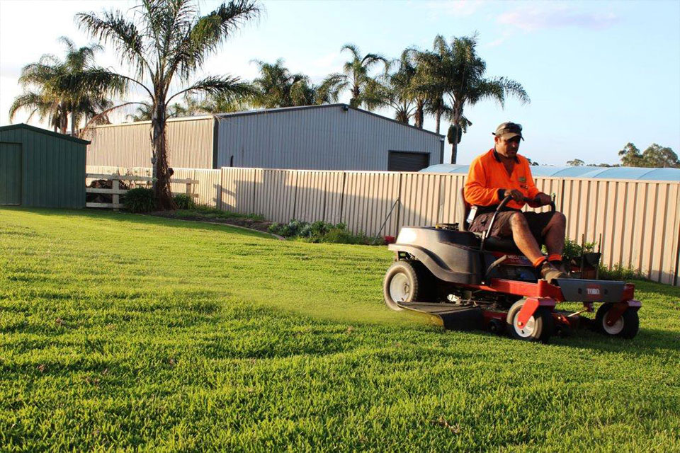 matilda australias leading lawn
