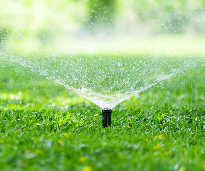 How to Keep Grass Green in Winter