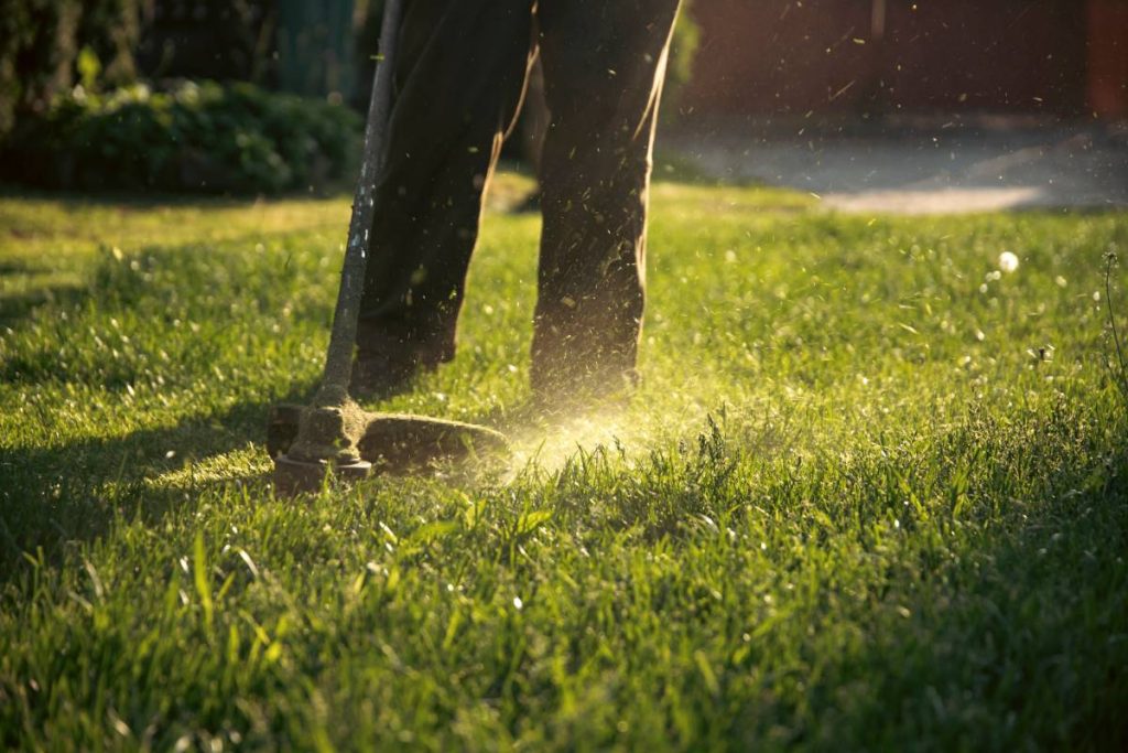 Mowing the grass with a lawn mower. Garden work concept background.