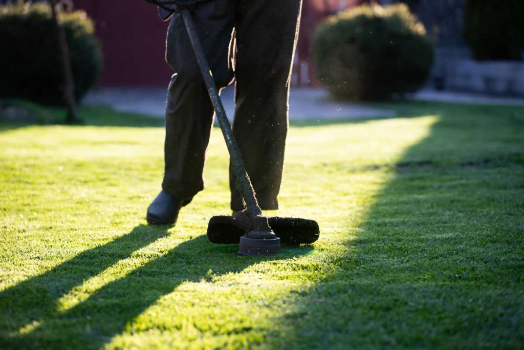 Mowing the grass with a lawn mower. Garden work concept background.