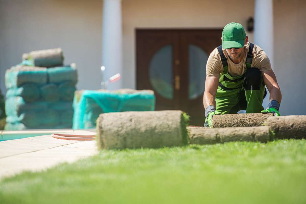 A worker installs fresh sod in a home garden during a sunny day. The area is well-maintained with green grass and preparation materials nearby.