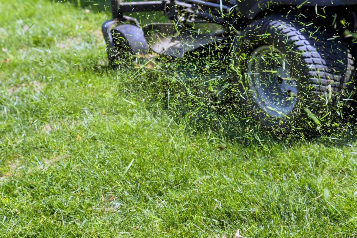 Lawn mower moves across yard, trimming grass throwing clippings into air on bright summer day.