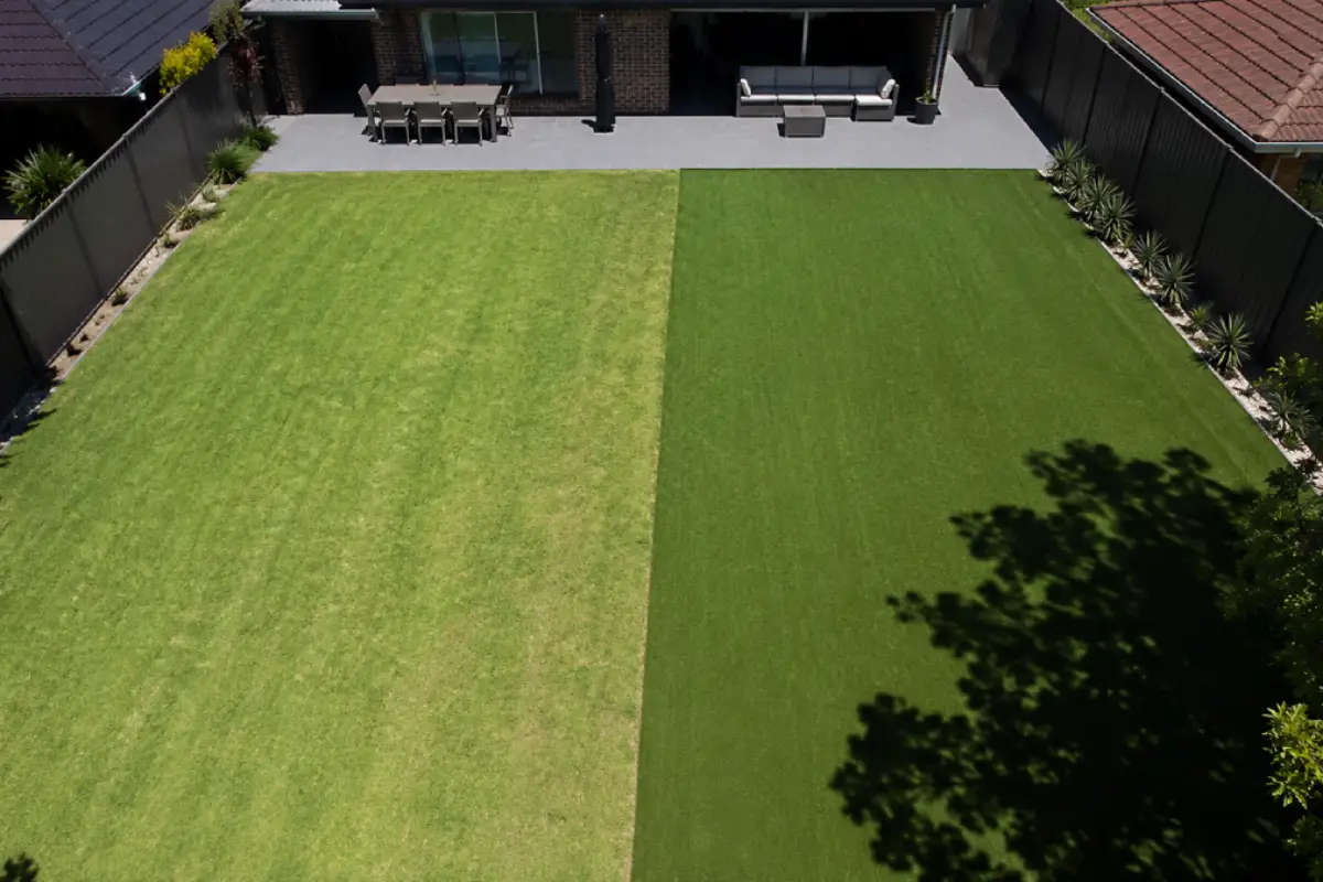 Natural grass and artificial turf side by side in a Sydney backyard